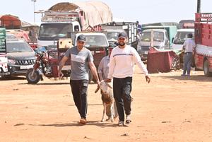 MARRUECOS-RABAT-EID AL-ADHA-MERCADO