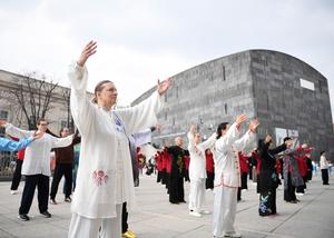 AUSTRIA-VIENA-DIA INTERNACIONAL DEL TAIJIQUAN