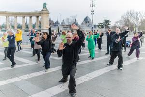 HUNGRIA-BUDAPEST-DIA INTERNACIONAL DEL TAIJIQUAN-EVENTO DE CELEBRACION