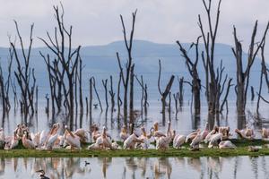 KENIA-DIA DE LA TIERRA-GRAN VALLE DEL RIFT-PAISAJE