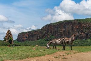 KENIA-DIA DE LA TIERRA-GRAN VALLE DEL RIFT-PAISAJE