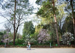 KAZAJISTAN-ALMATY-PRIMAVERA-VIDA COTIDIANA