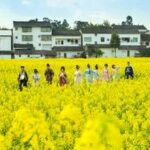 CHINA-PRIMAVERA-PAISAJE