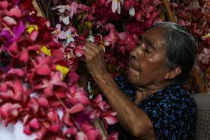 EL SALVADOR-SAN SALVADOR-FESTIVAL DE LAS FLORES Y LAS PALMAS