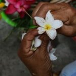 EL SALVADOR-SAN SALVADOR-FESTIVAL DE LAS FLORES Y LAS PALMAS