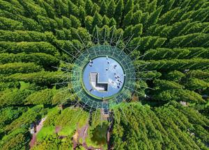 CHINA-JIANGSU-PARQUE FORESTAL HUANGHAI DE DONGTAI-VISTAS