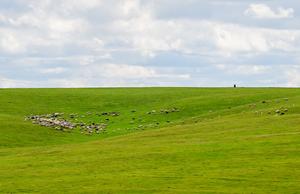 CHINA-MONGOLIA INTERIOR-HULUN BUIR-ESCARPE HAKE-VISTAS