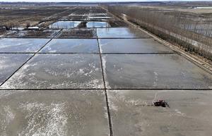 CHINA-HEILONGJIANG-SHUANGYASHAN-ARADO DE PRIMAVERA