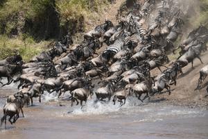KENIA-NAROK-RESERVA NACIONAL MASAI MARA