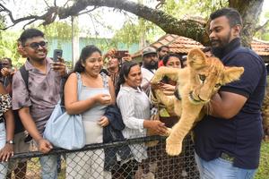 SRI LANKA-DEHIWALA-MOUNT LAVINIA-ZOOLOGICO-CACHORROS DE LEON