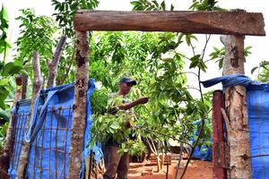 CUBA-HABANA-AGRICULTURA-PROGRAMA