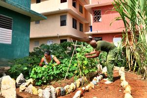 CUBA-HABANA-AGRICULTURA-PROGRAMA
