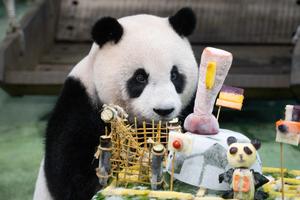 CHINA-TAIWAN-TAIPEI-PANDA GIGANTE-CUMPLEAÑOS