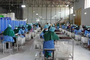 AFGANISTAN-BALKH-FUNCIONARIOS DE LA ONU-VISITA
