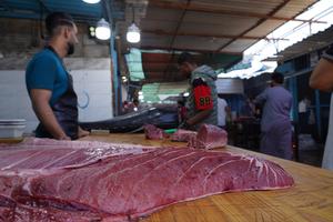 LIBIA-TRIPOLI-MERCADO DE PESCADO-PESCA