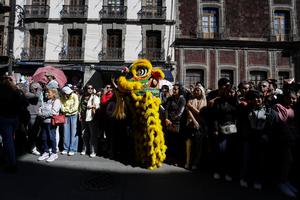 MEXICO-CIUDAD DE MEXICO-AÑO NUEVO CHINO