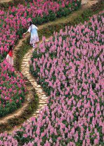 CHINA-GUANGXI-NANNING-PRIMAVERA-PAISAJE