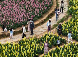 CHINA-GUANGXI-NANNING-PRIMAVERA-PAISAJE