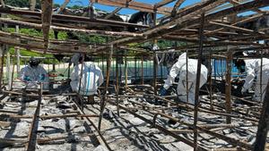 FILIPINAS-PROVINCIA DE PALAWAN-TRANSBORDADOR-INCENDIO-SECUELAS