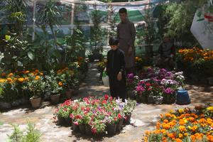 AFGANISTAN-KABUL-EXPOSICION DE FLORES