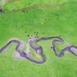 CHINA-GANSU-DINGXI-PRADERA-PAISAJE
