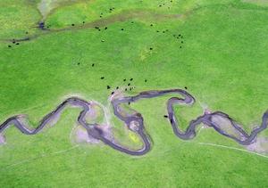 CHINA-GANSU-DINGXI-PRADERA-PAISAJE