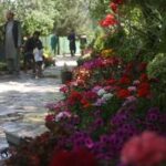 AFGANISTAN-KABUL-EXPOSICION DE FLORES