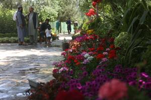 AFGANISTAN-KABUL-EXPOSICION DE FLORES
