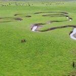 CHINA-GANSU-DINGXI-PRADERA-PAISAJE