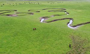 CHINA-GANSU-DINGXI-PRADERA-PAISAJE
