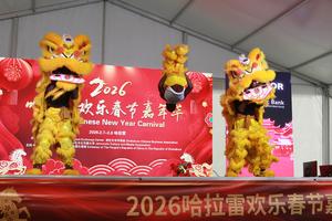 ZIMBABUE-HARARE-AÑO NUEVO CHINO-CARNAVAL