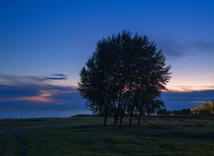 CHINA-HEILONGJIANG-VISTA DEL CIELO-VENUS Y JUPITER