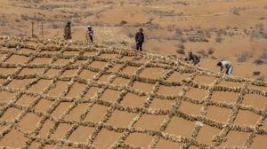 CHINA-NINGXIA-ZHONGWEI-MEDIO AMBIENTE-CONTROL DE ARENA