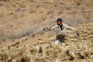 CHINA-NINGXIA-ZHONGWEI-MEDIO AMBIENTE-CONTROL DE ARENA