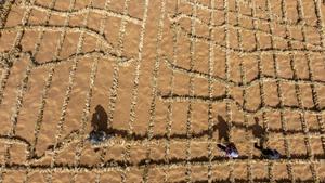 CHINA-NINGXIA-ZHONGWEI-MEDIO AMBIENTE-CONTROL DE ARENA