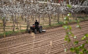CHINA-PRIMAVERA-AGRICULTURA