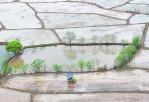 CHINA-PRIMAVERA-AGRICULTURA