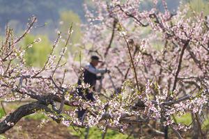 CHINA-PRIMAVERA-AGRICULTURA
