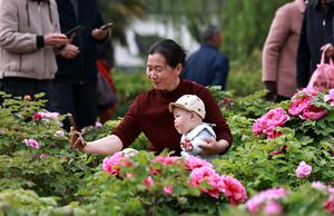 CHINA-JIANGSU-PRIMAVERA-FLORECIMIENTO