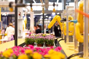 PAISES BAJOS-AMSTERDAM-EXPOSICION DE HORTICULTURA