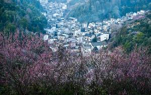 CHINA-ANHUI-SHEXIAN-CIRUELO-PAISAJE