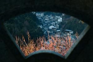 CHINA-ANHUI-SHEXIAN-CIRUELO-PAISAJE