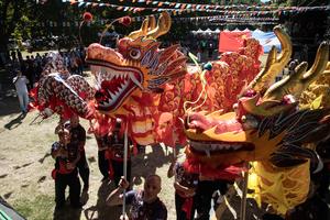 ARGENTINA-BUENOS AIRES-AÑO NUEVO CHINO