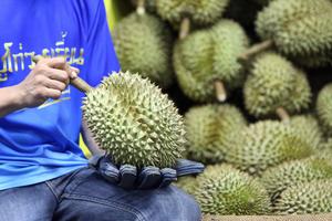 TAILANDIA-CHANTHABURI-DURIANES