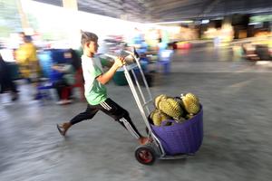 TAILANDIA-CHANTHABURI-DURIANES