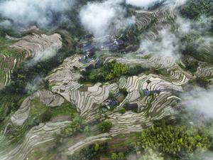 CHINA-HUNAN-TERRAZAS DE ZIQUEJIE