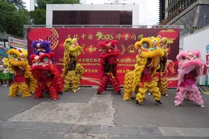 BRASIL-SAO PAULO-CHINA-AÑO NUEVO CHINO
