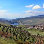 JORDANIA-VIDA COTIDIANA-PAISAJE PRIMAVERAL