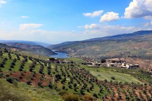 JORDANIA-VIDA COTIDIANA-PAISAJE PRIMAVERAL