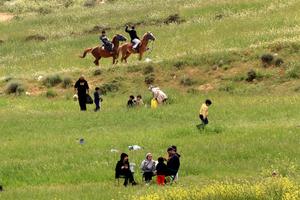 JORDANIA-VIDA COTIDIANA-PAISAJE PRIMAVERAL